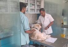 Pet Concern - Pet clinic & Pet Shop 